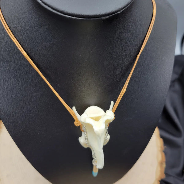 Coyote Vertebrae & Turquoise Bullet Spike Necklace