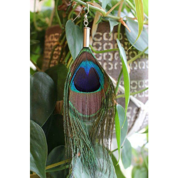 Extra Long Peacock Feather 2A Statement Earrings